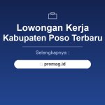 Lowongan Kerja Web Developer Poso Terbaru 2026