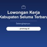 Lowongan Kerja Programmer Seluma Terbaru 2026