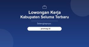 Lowongan Kerja Programmer Seluma Terbaru 2026