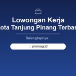 Lowongan Kerja Staff IT Tanjungpinang Terbaru 2026